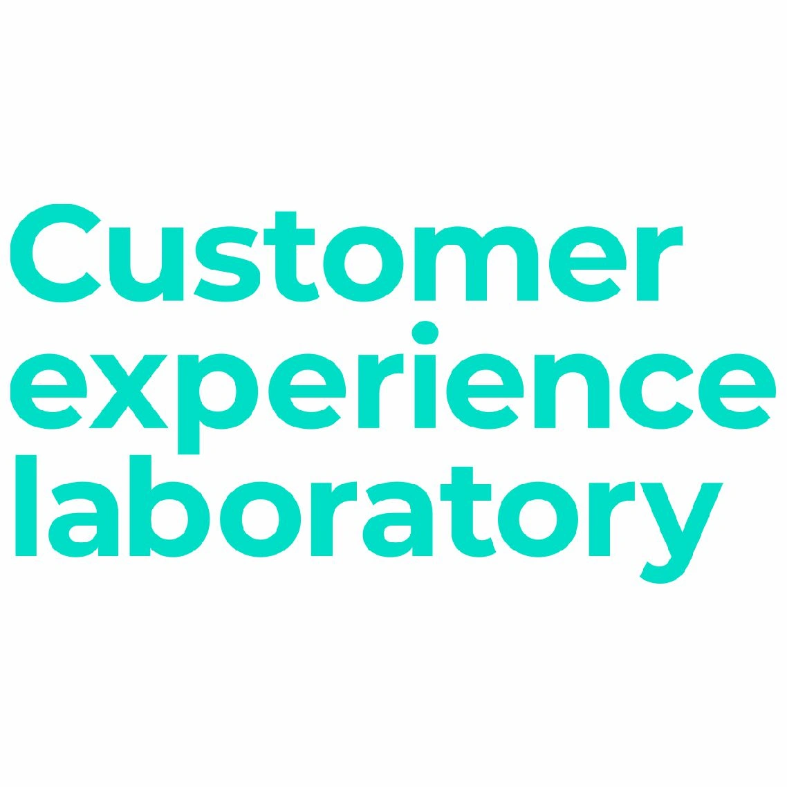 Customer Experience Laboratory